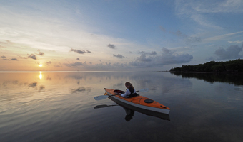 Paddle Weedon Island Preserve with Sweetwater Kayaks